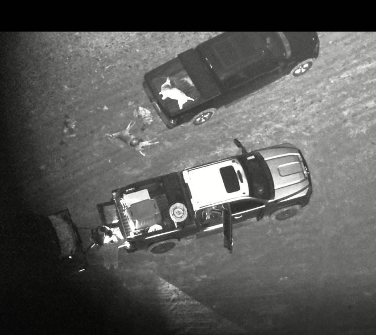 Downed deer located by thermal drone during a deer recovery flight