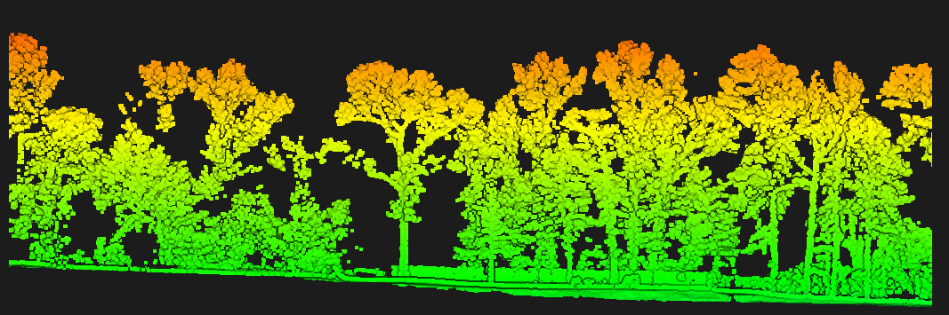 Drone LiDAR mapping deliverable - colorized terrain model of surveyed property