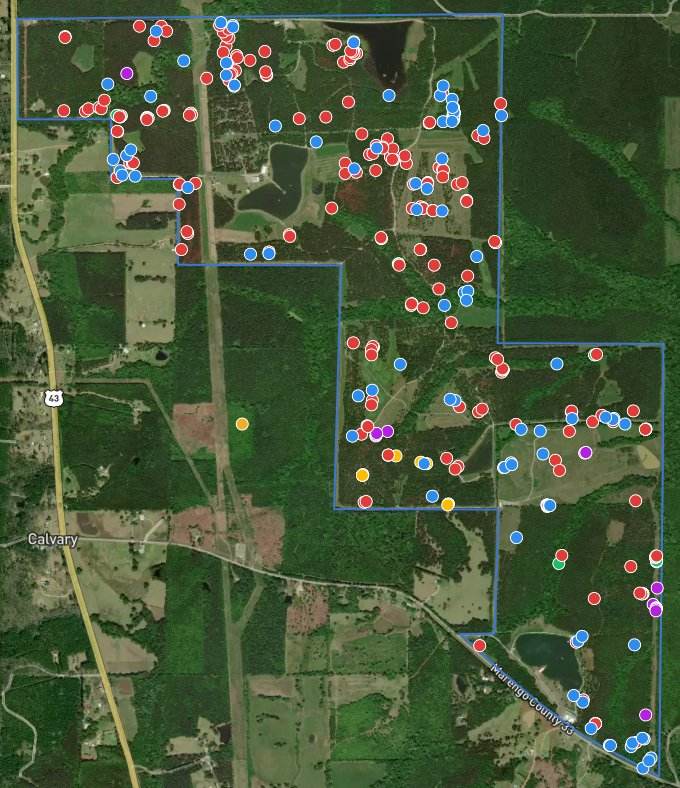 Deer survey data processed into counts and locations
